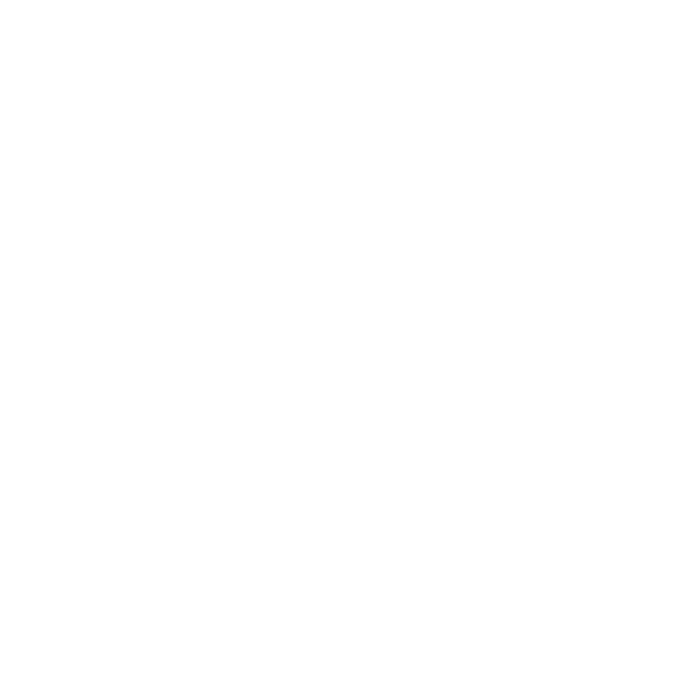 Chef Inox